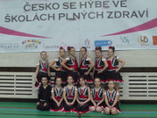 Česko se hýbe 2019 TK Tlučná