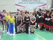 Česko se hýbe 2019 TK Tlučná