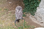 Taneční soustředění - Střelské Hoštice 2019